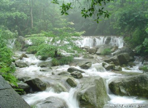 湖北九宮山森林公園圖片