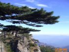 美麗黃山