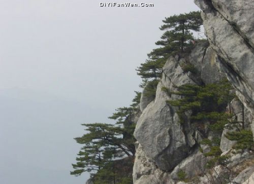 湖北薄刀峰圖片