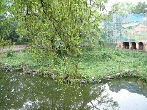 上海動物園圖片
