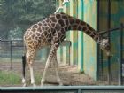 北京動物園