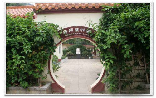深圳仙湖植物園圖片