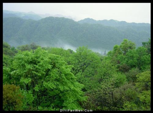 湖南八大公山圖片