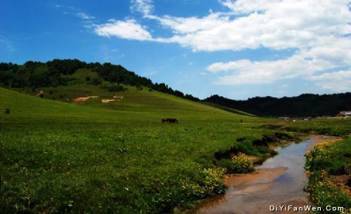 陝西關山草原圖片
