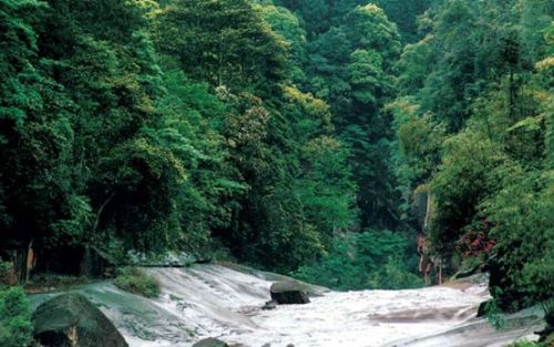 四川佛寶圖片