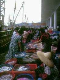 大溪漁港圖片