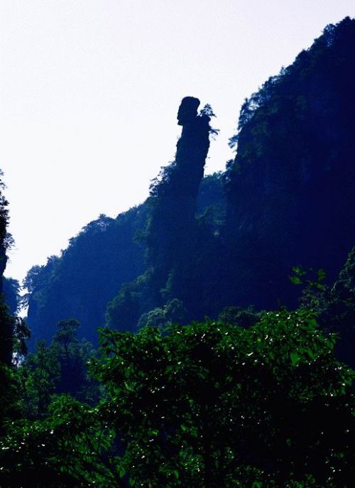 索溪峪自然保護區風景圖片