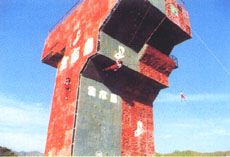 生存島圖片