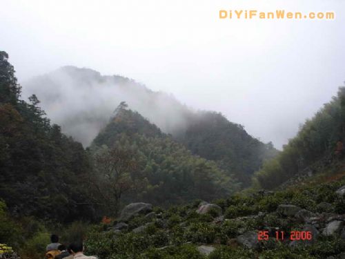 黃山邊陲圖片