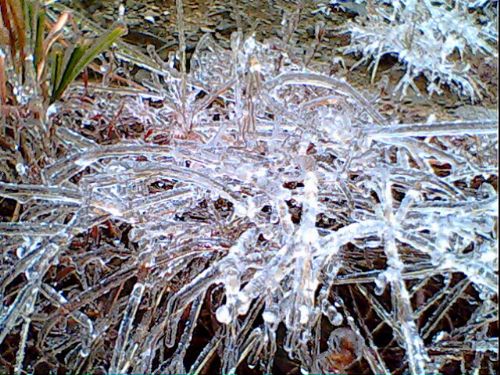 滸坑雪景圖片