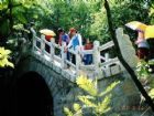 銅鑼寨