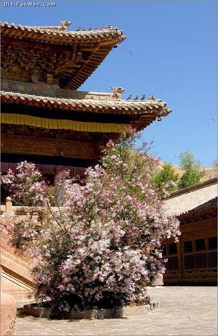 瞿曇寺圖片