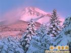 富士山雪景