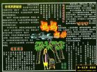三八婦女節黑板報設計