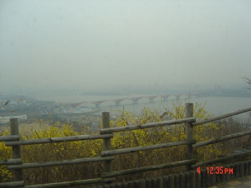 首爾街景圖片