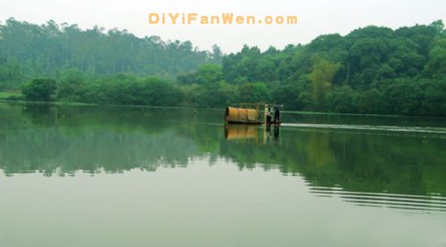 南寧良鳳江國家森林公園圖片