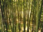 中華山