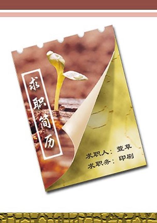 乘務員求職簡歷封面