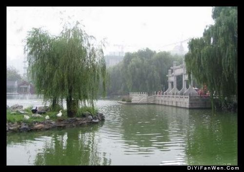 上海大觀園圖片