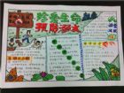 防溺水手抄報：防止未成年人溺水