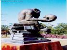 南灣猴島