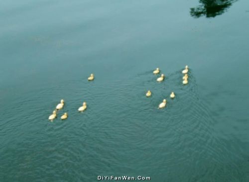貴州共青湖圖片