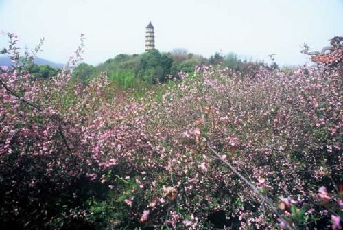 寶塔山公園圖片