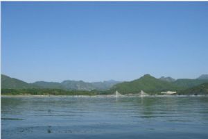 雁棲湖組圖（2）圖片