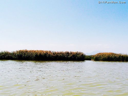 寧夏沙湖圖片