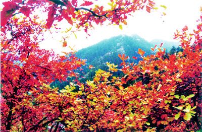 興隆山圖片
