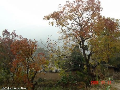 塔川之旅圖片