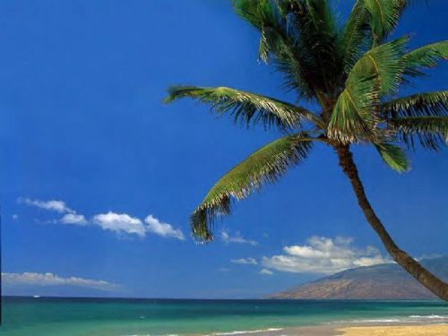 夏威夷風光圖片