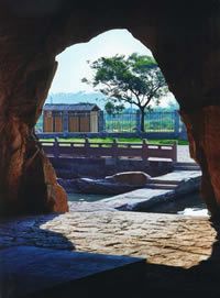 三門灣蛇蟠島景區圖片