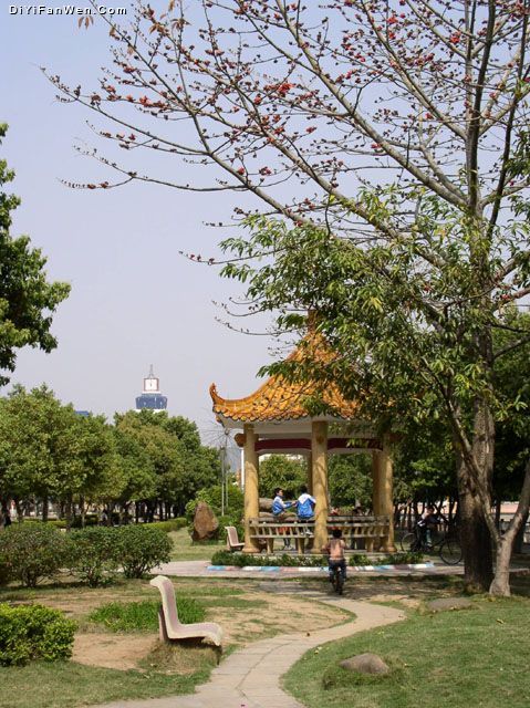 五指石圖片