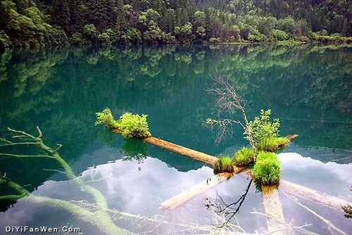 夏日九寨溝圖片