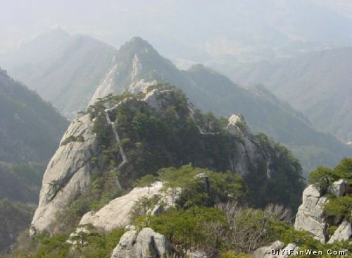 湖北薄刀峰圖片