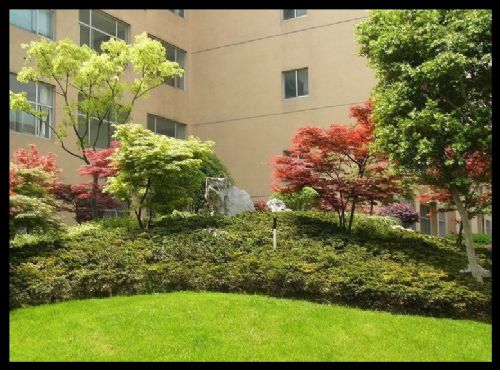 上海復旦大學圖片