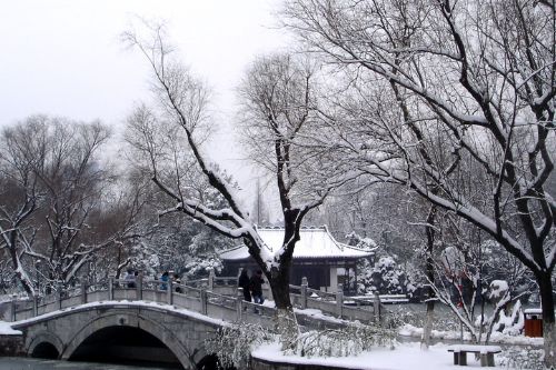 南京連日雪紛紛圖片