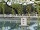 濟南珍珠泉