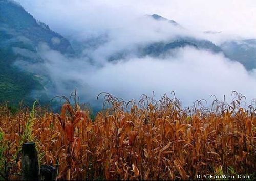 雲南怒江丙中洛圖片