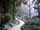 丁香花園