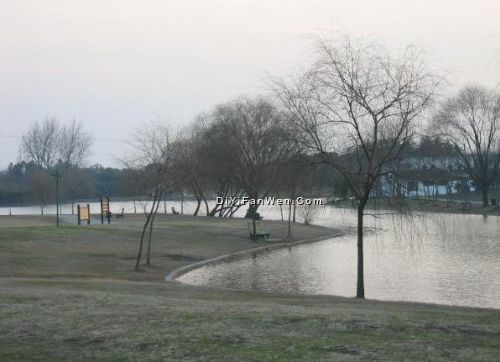 共青森林公園圖片