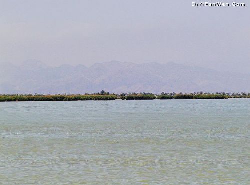 寧夏沙湖圖片