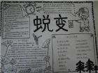 軍訓手抄報：蛻變