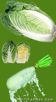 懷舊“當家菜”蘿蔔白菜保平安