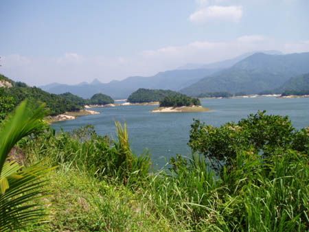 吊羅山圖片