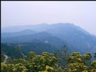 雙峰山森林公園
