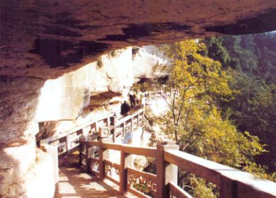 金城山森林公園圖片