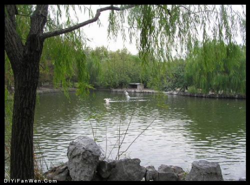 上海動物園圖片