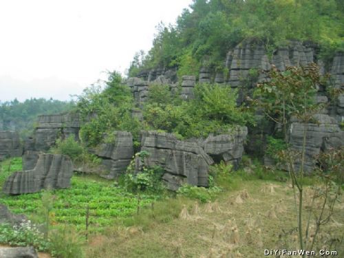 湖北梭布埡石林圖片